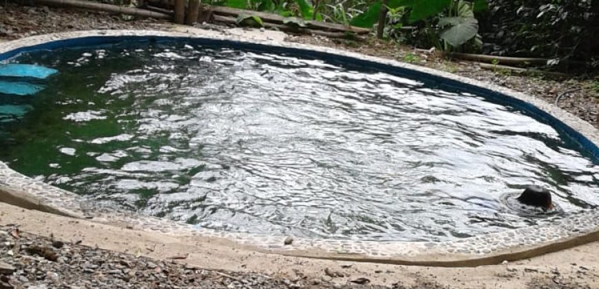 Se Vende Finca Rosaflorida (Arboleda)